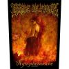 Cradle Of Filth - Nymphetamine - Гръб