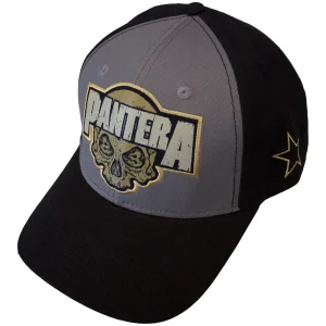 Pantera Unisex Mesh Back Cap: Skull (Black & Charcoal Grey) (Side Print) - Шапка